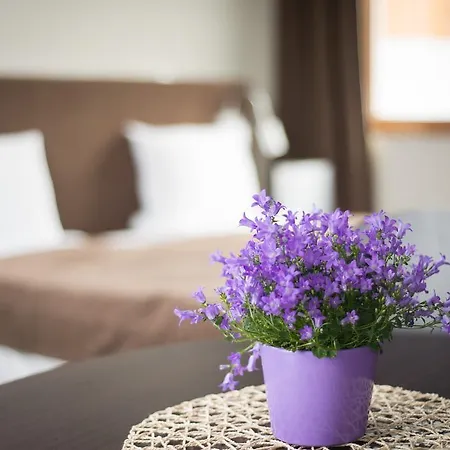 Vela 2min Plaza Hryniewieckiego