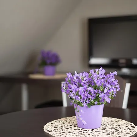Apartment Vela 2min Plaza Hryniewieckiego