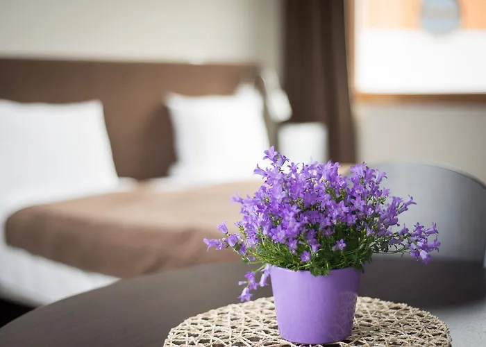 Vela 2min Plaza Hryniewieckiego